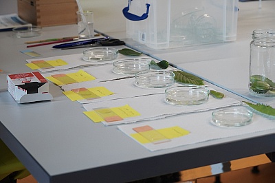 Experimentiertag Grundlagen der Biochemie Foto: HZDR